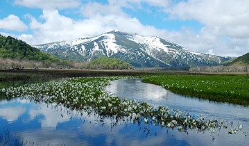 ���������Ǝ����R